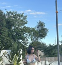 Chini - Transsexual escort in Macao