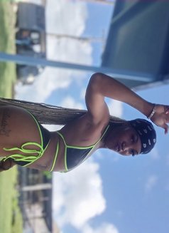 Chinn - puta in Barbados Photo 7 of 8