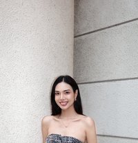 Chitaphxn - Transsexual escort in Bangkok