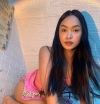 Chloé BigPinkishCock - Transsexual escort in Manila