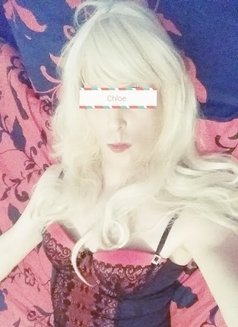 Chloe TV Escort - Transsexual escort in Manchester Photo 1 of 8