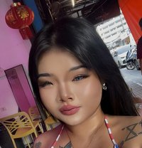Chloe VIP - Acompañantes transexual in Phuket