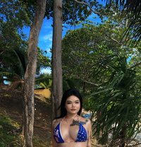 Chloe VIP - Transsexual escort in Phuket