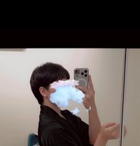 Chocho - Transsexual escort in Dammam