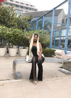 Choco Angel From Kh +91//92338//44504 - escort in Chandigarh Photo 4 of 4