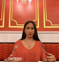 🌶️ VERSATILE - Transsexual escort in Ho Chi Minh City Photo 23 of 24