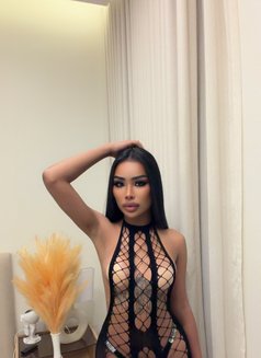Chocolate dick - Acompañantes transexual in Riyadh Photo 13 of 14