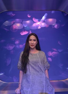 Welcome to my World - Transsexual escort in Riyadh Photo 21 of 22