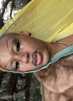Chocolate Girly Boy - Transsexual escort in Nagoya Photo 8 of 9