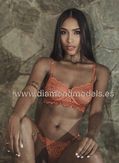 Chocolate Morgan Colombian 19 Years Old - escort in Al Manama Photo 7 of 11