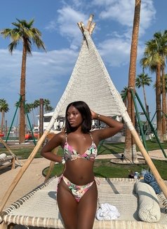 Chocolate Shemale currently in Abidjan - Transsexual escort in Abidjan Photo 11 of 15