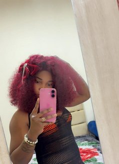 Choicebby - escort in Ajmān Photo 9 of 11