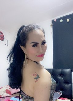 Choseme - Transsexual escort in Ajmān Photo 8 of 16