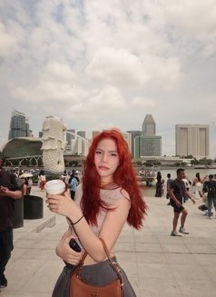 Christie - Acompañantes transexual in Singapore Photo 5 of 6