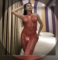 Christina Amanda Li - Transsexual escort in Kuala Lumpur
