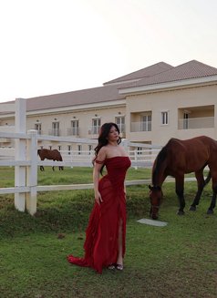 Christina High Class Vip - escort in Dubai Photo 3 of 16