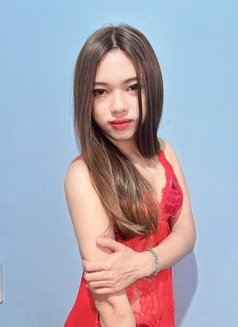 Christine Shemale - Transsexual escort in Jakarta Photo 2 of 12