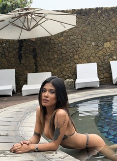 Christy - escort in Bali Photo 15 of 18