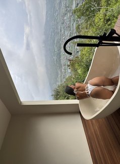 Christy new arrived (orchard) - escort in Singapore Photo 10 of 14