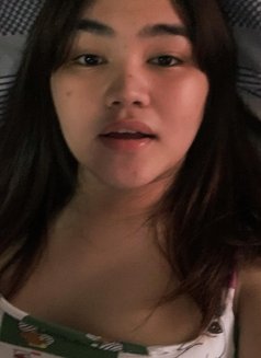 Chubby Babe - Acompañantes transexual in Manila Photo 3 of 5