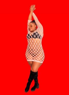 Chubby ⚜️ Bae❣️ Outcalls - escort in Nairobi Photo 6 of 6