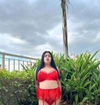 Chubby Fantasy Grace - Transsexual escort in Taipei