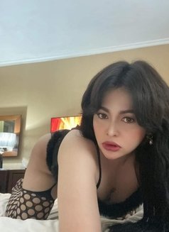 Chubby Ladyboy - Transsexual escort in Al Ain Photo 1 of 10