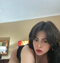 Chubby Ladyboy - Transsexual escort in Al Ain