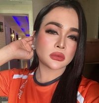 Chubby Ladyboy - Transsexual escort in Al Ain