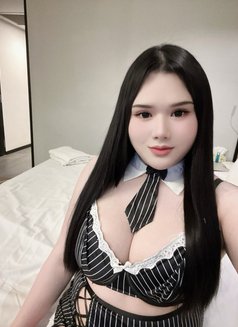 Chubby Ladyboy - Transsexual escort in Khobar Photo 6 of 15