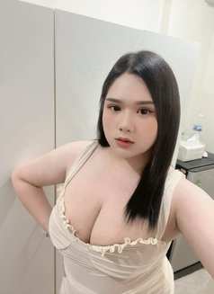 Chubby Ladyboy - Transsexual escort in Khobar Photo 13 of 15