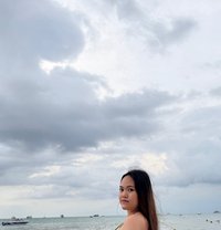 Chubby no anal - escort in Phuket Photo 9 of 10