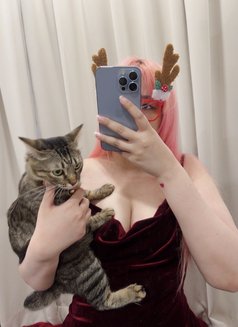 Chubby Queen 🧸 - escort in Bangkok Photo 2 of 4