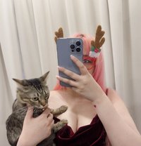 Chubby Queen 🧸 - escort in Bangkok