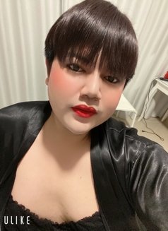 chubby sexy Thailand - Acompañantes transexual in Amman Photo 14 of 14