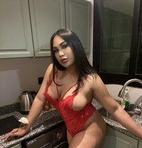 🇹🇭 Shemale 7days only🇹🇭 - Transsexual escort in Dammam