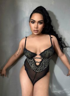 Chuppy Shemale new here - Acompañantes transexual in İstanbul Photo 7 of 7