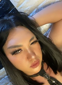 Ciang69 - Transsexual escort in Manila Photo 1 of 4