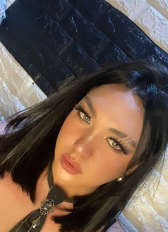 Ciang69 - Transsexual escort in Manila Photo 2 of 4