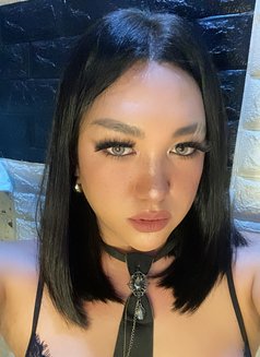 Ciang69 - Transsexual escort in Manila Photo 4 of 4