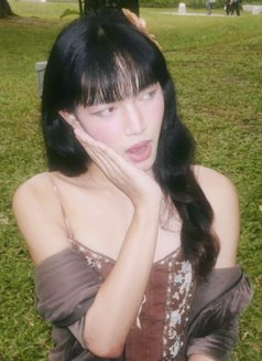 Ciara - Acompañantes transexual in Makati City Photo 3 of 8