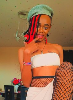 Ciarrah Discreet Hookup and Video Calls - Transsexual escort in Nairobi Photo 12 of 12