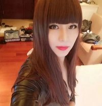 Ç I ç i - Transsexual escort in Shanghai