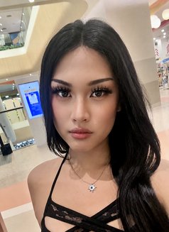 Cici - Transsexual escort in Pattaya Photo 1 of 6