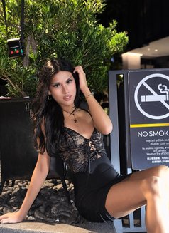 Cici - Transsexual escort in Pattaya Photo 3 of 6