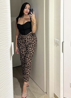 Cie - puta in Grad Novi Sad Photo 3 of 5