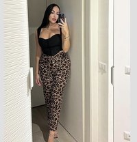 Cie - escort in Grad Novi Sad