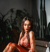 CIKHA LADYBOY HOT SERVICE - Transsexual escort agency in Jakarta