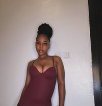 Cikiara - escort in Erbil
