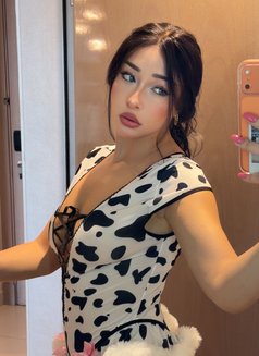 Ciline - escort in Dubai Photo 3 of 11